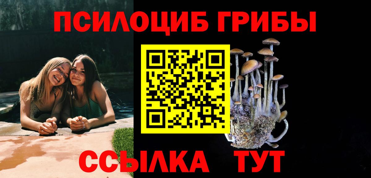 Мариинск  Галлюциногенные грибы GOLDEN TEACHER  где купить наркотик  Вход с VPN 